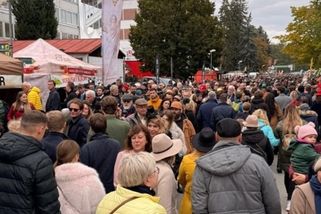 prahain.cz/sport/nejvetsim-zazitkem-velke-pardubicke-byl-slovnik-zokeje-vani-25014.html